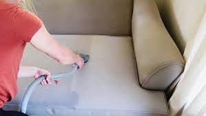 Pet Stain Removal